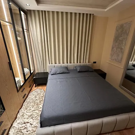 Luxury Shiba 02